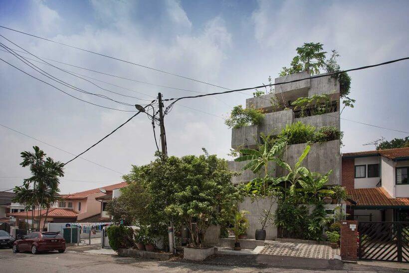 Plantas comestíveis crescem na casa urbana